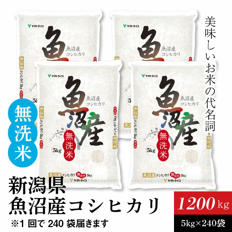 【ふるさと納税】新潟魚沼産コシヒカリ 無洗米 5kg×240袋　安心安全なヤマトライス