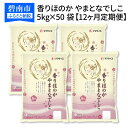 【ふるさと納税】<安心安全なヤマトライス>香りほのか やまとなでしこ5kg×50袋 ※定期便12回 H074-157