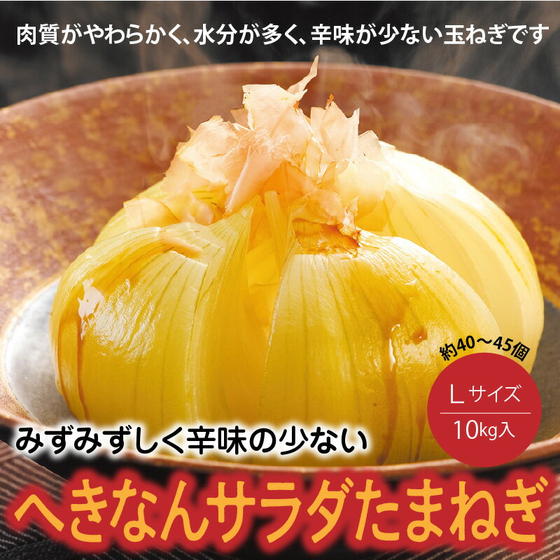 【ふるさと納税】玉ねぎ Lサイズ 10kg みずみずしい 辛味の少ない サラダたまねぎ 期間限定 産地直送 タマネギ オニオン 常備野菜 保存野菜 送料無料