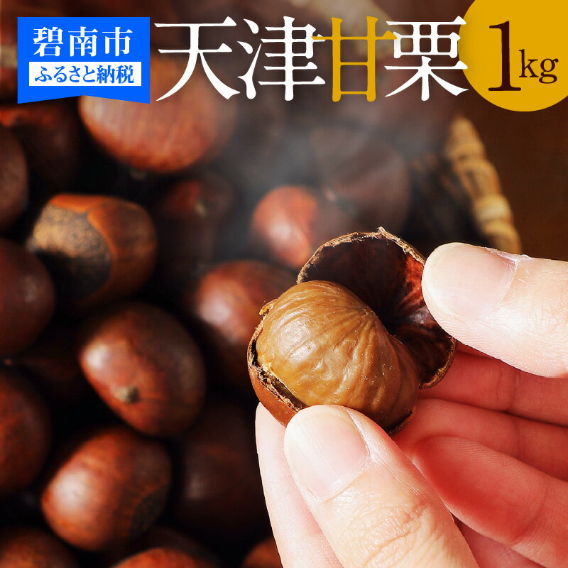 記事番号:99/アイテムID:357739の画像