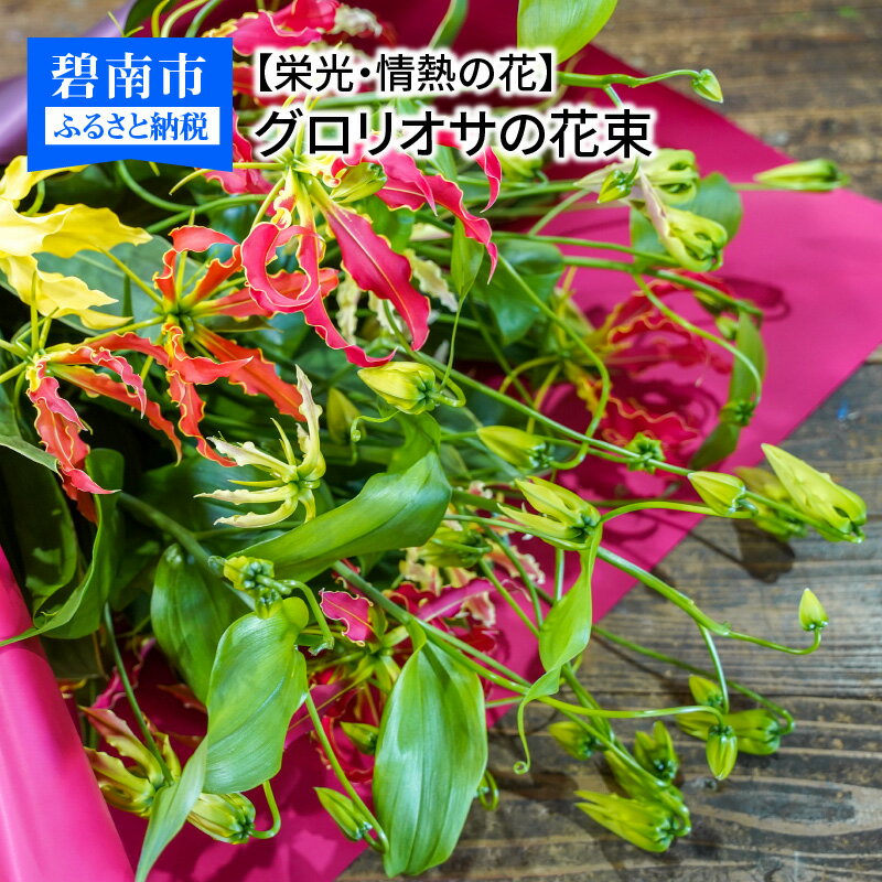 25位! 口コミ数「0件」評価「0」【栄光・情熱の花】グロリオサの花束