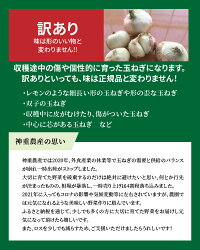 【ふるさと納税】【先行予約】季節ごとの旬玉 訳あり 新玉ねぎ 旬玉 7kg 玉ねぎ 神重農産 甘み豊か ジューシー みずみずしい オニオン ブランド玉ねぎ 生がおいしい えぐみが少ない ミネラル サラダ お取り寄せ 愛知県 碧南市 送料無料･･･ 画像2