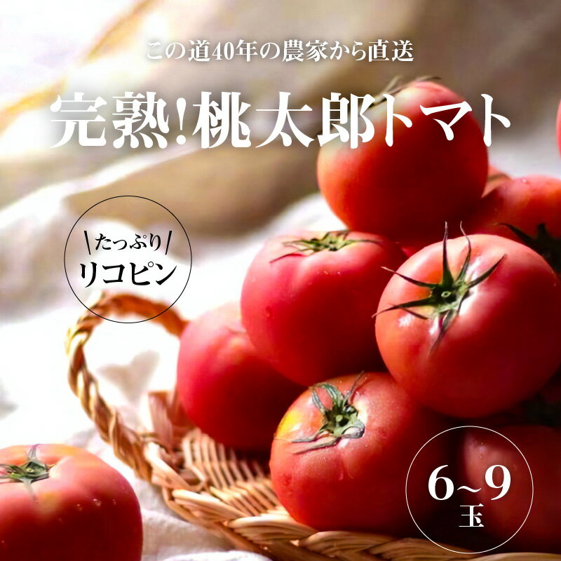 【ふるさと納税】 桃太郎トマト 6〜9玉 この道40年 農家から 直送 完熟 とまと 皮が薄い 野菜 子供 産地直送 愛知県 碧南市 送料無料