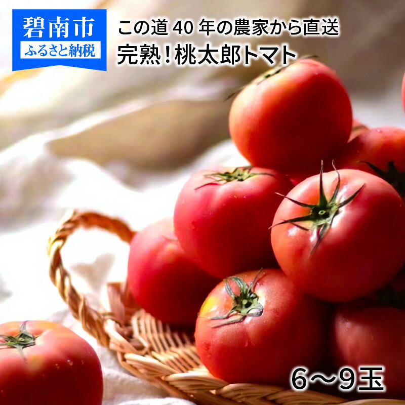 10位! 口コミ数「2件」評価「2.5」 桃太郎トマト 6〜9玉 この道40年 農家から 直送 完熟 とまと 皮が薄い 野菜 子供 産地直送 愛知県 碧南市 送料無料