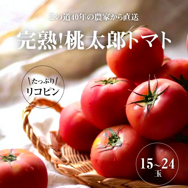 【ふるさと納税】 桃太郎トマト 15〜24玉 この道40年 農家から 直送 完熟 とまと 皮が薄い 野菜 子供 産地直送 愛知県 碧南市 送料無料