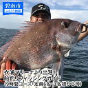 【ふるさと納税】衣浦マリーナより出港！船釣りフィッシングガイド（9時間コース・定員6名・1名様から可）　H152-002