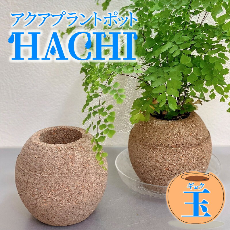 オシャレで使いやすい アクアプラントポット HACHI 玉 [3色から選択] 鉢 プランター プラントポット 吸水 保水 水やり 忘れ 根腐れしにくい 観葉植物 インテリア 雑貨 癒やし お部屋 ギフト ワンポイント 贈答用 お取り寄せ 愛知県 高浜市 送料無料