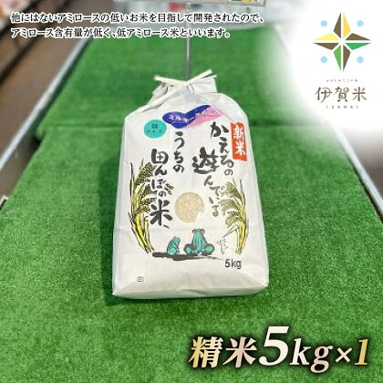 【精米】滝のめぐみが育んだミルキークィーン5kg