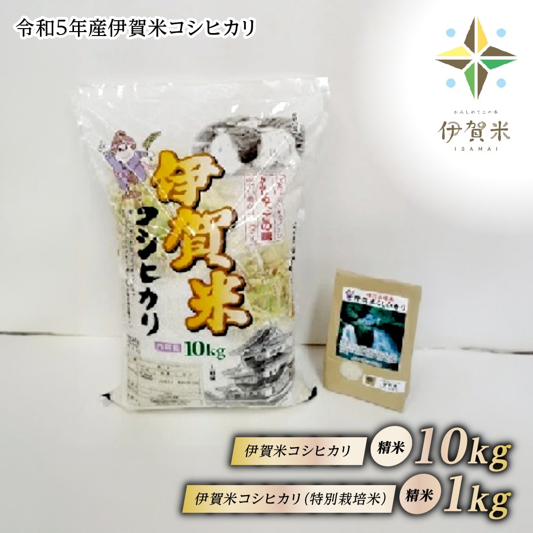 20位! 口コミ数「0件」評価「0」令和5年産伊賀米コシヒカリ　2か月連続発送（白米10Kg＋特別栽培米1kg）