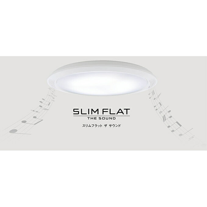 【ふるさと納税】パナソニック スピーカー付シーリングライト丸型 【雑貨・日用品・電化製品・パナソニック・スピーカー付き・ライト】