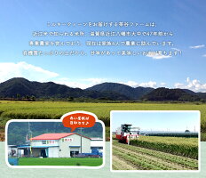 ミルキークィーンをお届けする茶谷ファームは、47年前から専業農家を営んでいます。有機質たっぷりの土だから、甘味があって美味しいお米が育ちます!