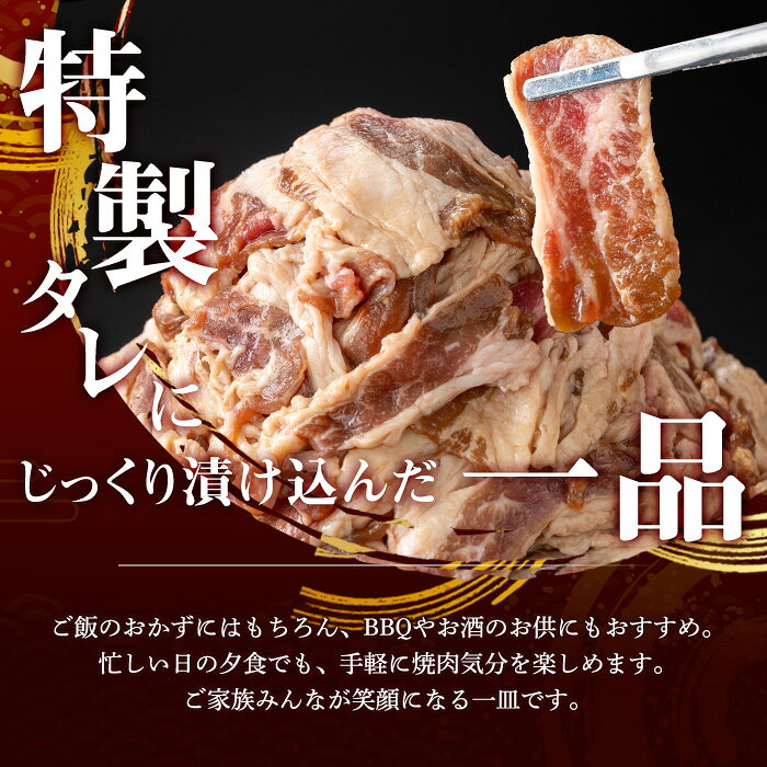 【ふるさと納税】＜選べる容量＞＜訳あり＞焼肉用 タレ漬け牛肉 おまかせセット (400g〜3.2kg) 小分け 大容量 焼くだけ BBQ バーベキュー 冷凍 味付け肉 牛肉 おかず おつまみ 400g 800g 1.2kg 2.4kg 3.2kg 【fc-EO022】【タルソン】 f262013-fukuchiyama-10002191 京都府福知山市 サンプル画像3