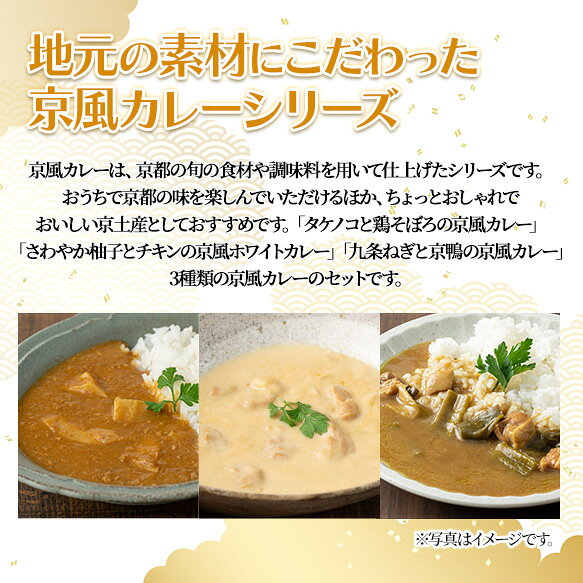 【ふるさと納税】＜数量が選べる！＞＜地元にこだわったシリーズ＞京風カレーセット(3種×各1個/2個/4個・計3～12個) カレー タケノコ 柚子 九条ネギ 詰め合わせ 食べ比べ グルメ インスタント レトルト カレールー 常温 保存食 非常食 【uj-AA001】【サンフーズジャパン】 f262048-uji-10001633 京都府宇治市 サンプル画像2