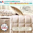 【ふるさと納税】<京都府認定商品(チャレンジ・バイ)><PREMIUM WOOL>ライトウェイト 掛けふとん(DL:ダブルロング) 日本製 羽毛布団 暖か 抗菌 掛け布団 掛布団 国産 羽毛 布団 冬 寝具 冷え性 天然素材 ぽかぽか ふかふか ウール【uj-CX007】【大恵ウール】