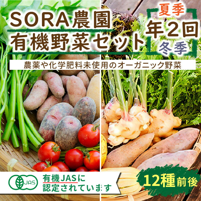 【ふるさと納税】【有機野菜　定期便2回】京都・京丹後 高評価★5.0 高レビュー★ SORA農園 有機野菜 セット 年2回 （夏季・冬季） お届け　12種類前後 有機野菜 オーガニック野菜 詰め合わせ 栽培期間中農薬不使用 ふるさと納税 オーガニック ふるさと納税 有機野菜