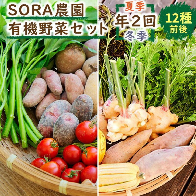 【ふるさと納税】【有機野菜　定期便2回】京都・京丹後 高評価★5.0 高レビュー★ SORA農園 有機野菜 セット 年2回 （夏季・冬季） お届け　12種類前後 有機野菜 オーガニック野菜 詰め合わせ 栽培期間中農薬不使用 ふるさと納税 オーガニック ふるさと納税 有機野菜