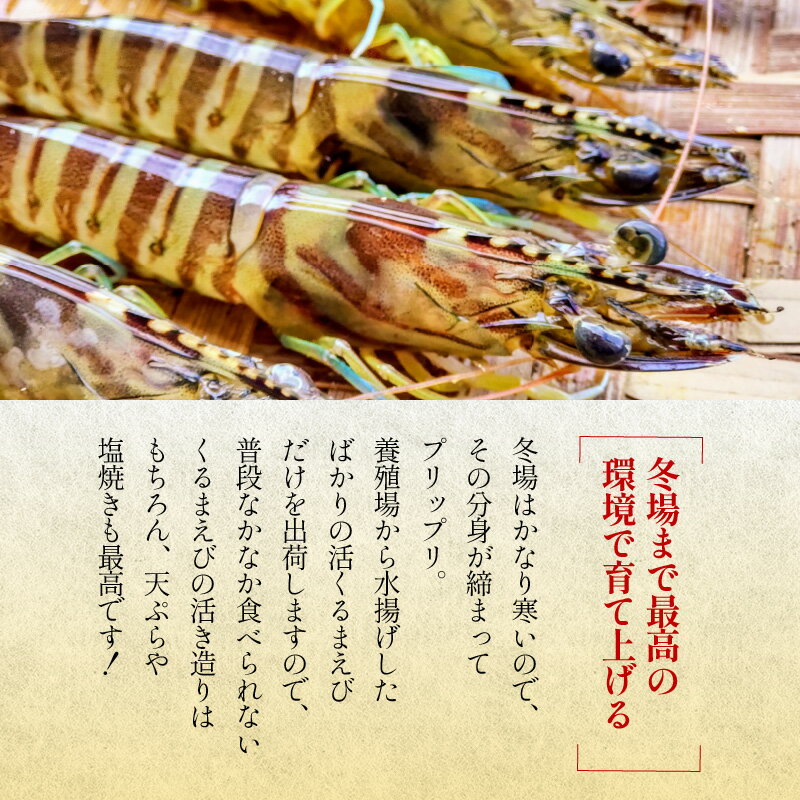 京都府京丹後市の画像3