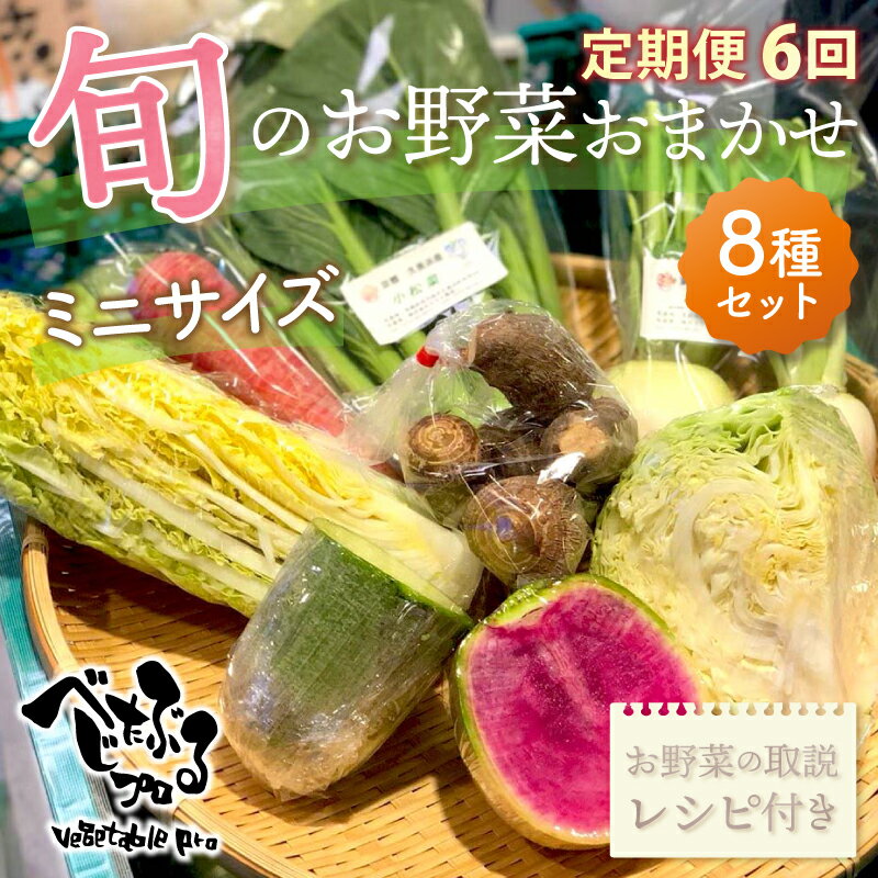 【ふるさと納税】旬のお野菜おまかせ8種セット・ミニサイズ(1〜2人) ※ 定期便 【全6回お届け】 野菜 お野菜 お任せ 旬 季節の野菜 新鮮 無農薬 詰め合わせ