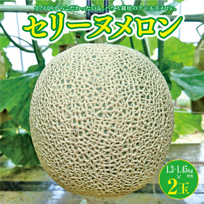 【ふるさと納税】【先行予約／数量限定20】京都丹後産 セリーヌメロン 2玉入り（2024年7月～発送） 国産 旬 アールスメロン めろん ふるさと 納税 メロン 青肉 2玉 ふるさと 納税 先行予約 期間限定 ふるさと 納税 フルーツ くだもの 果物