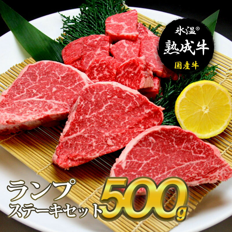 【ふるさと納税】氷温(R)熟成牛 ランプステーキセット(合計500g)