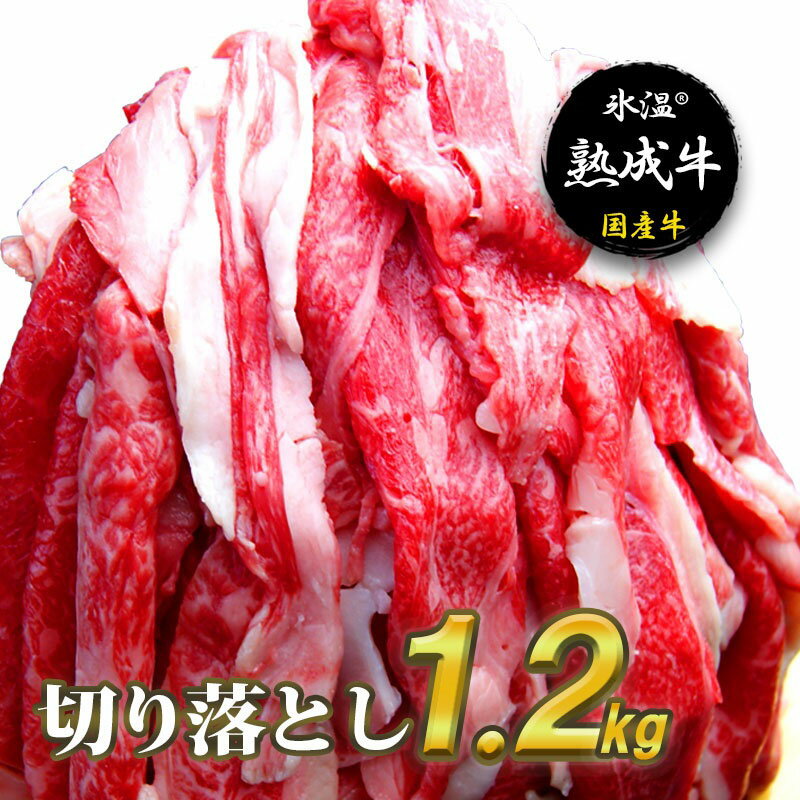 【ふるさと納税】氷温(R)熟成牛 切り落とし1.2kg