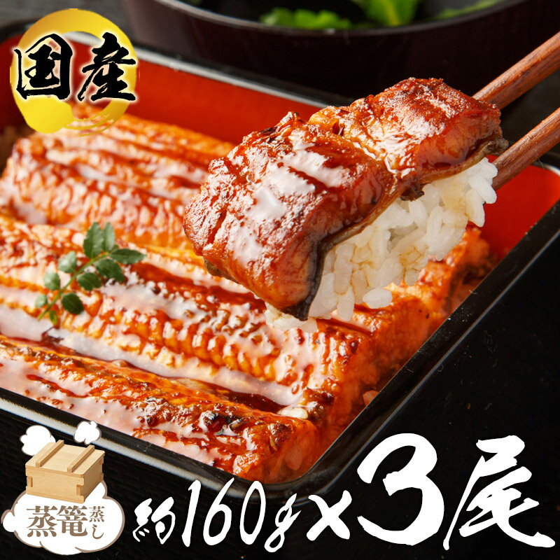 【ふるさと納税】厳選!国産うなぎ蒲焼(約160g×3尾)"秘伝のたれ"仕込み