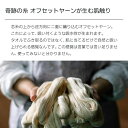 大阪府泉佐野市の画像3