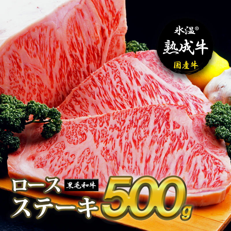 【ふるさと納税】氷温(R)熟成牛 ロースステーキ【黒毛和牛】(2枚で合計500g)