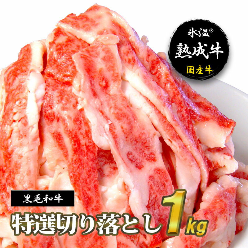 【ふるさと納税】氷温(R)熟成牛 特選切落し1kg【黒毛和牛】
