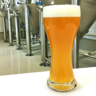 【ふるさと納税】KIX BEER ヴァイツェンボック12本セット