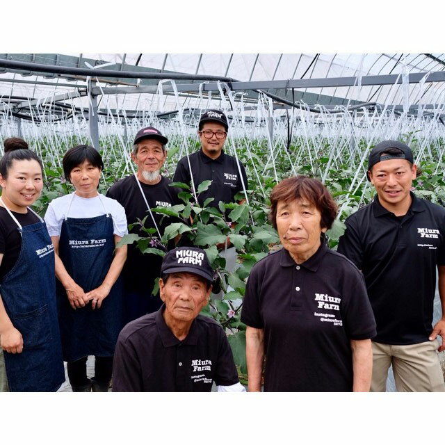 【ふるさと納税】着色料・保存料・香料無添加 水なす米ぬか漬6個入