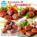 【ふるさと納税】おすすめ!人気のハンバーグとつくね 4種セット 大阪府 泉佐野市 送料無料 肉の泉佐野