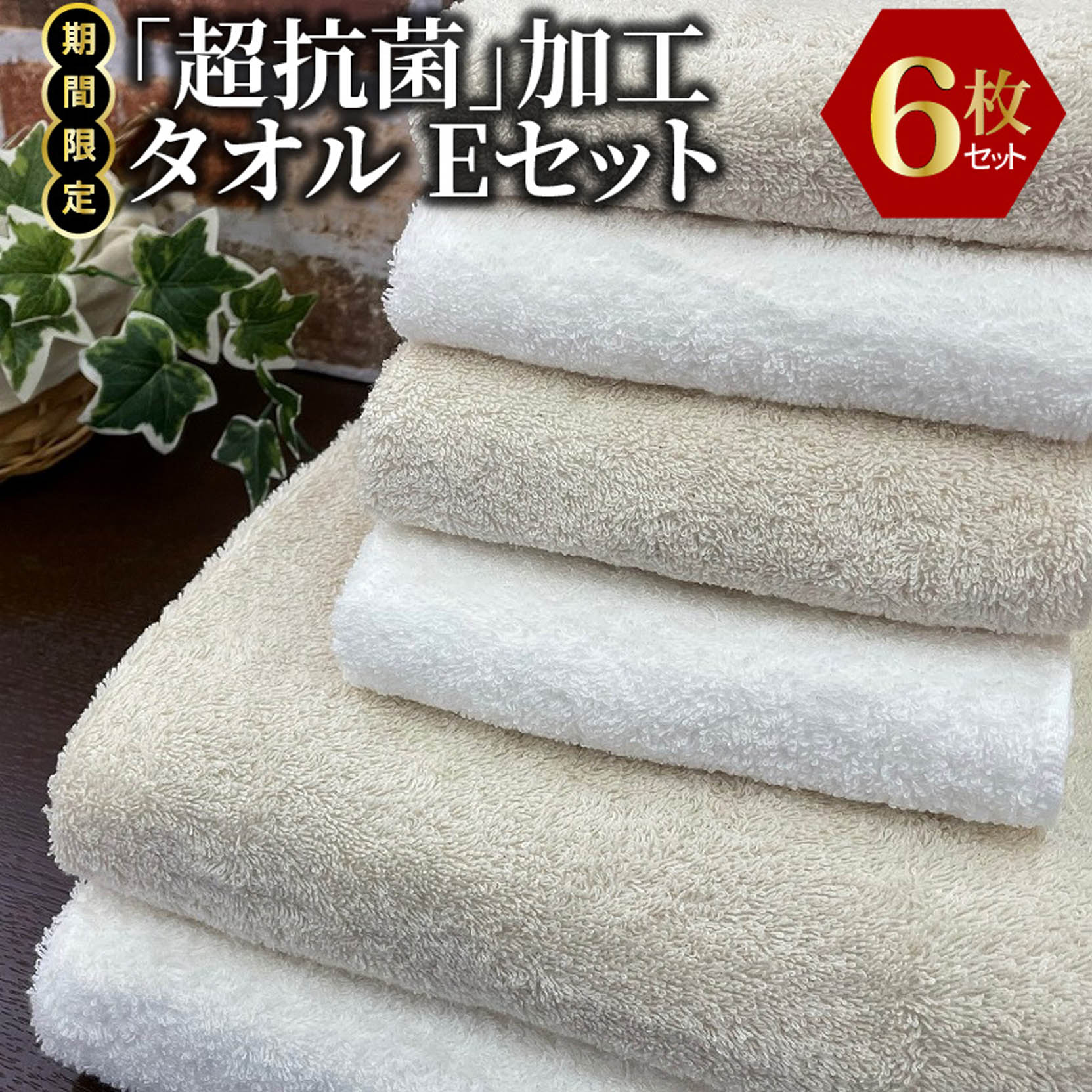 【ふるさと納税】【期間限定】「超抗菌」加工タオル Eセット