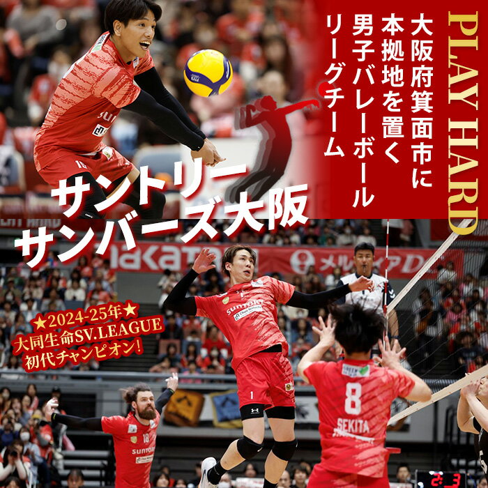 【ふるさと納税】＜数量限定・選べる開催日＞サントリーサンバーズ大阪 バレーボール教室プラン 男子バレーボール 選手 昼 土日 一緒に練習 集合写真撮影 初心者でも安心 オリジナルグッズ クリアファイル【m26-04】【サントリースポーツ株式会社】