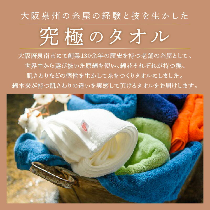 大阪府泉南市の画像2