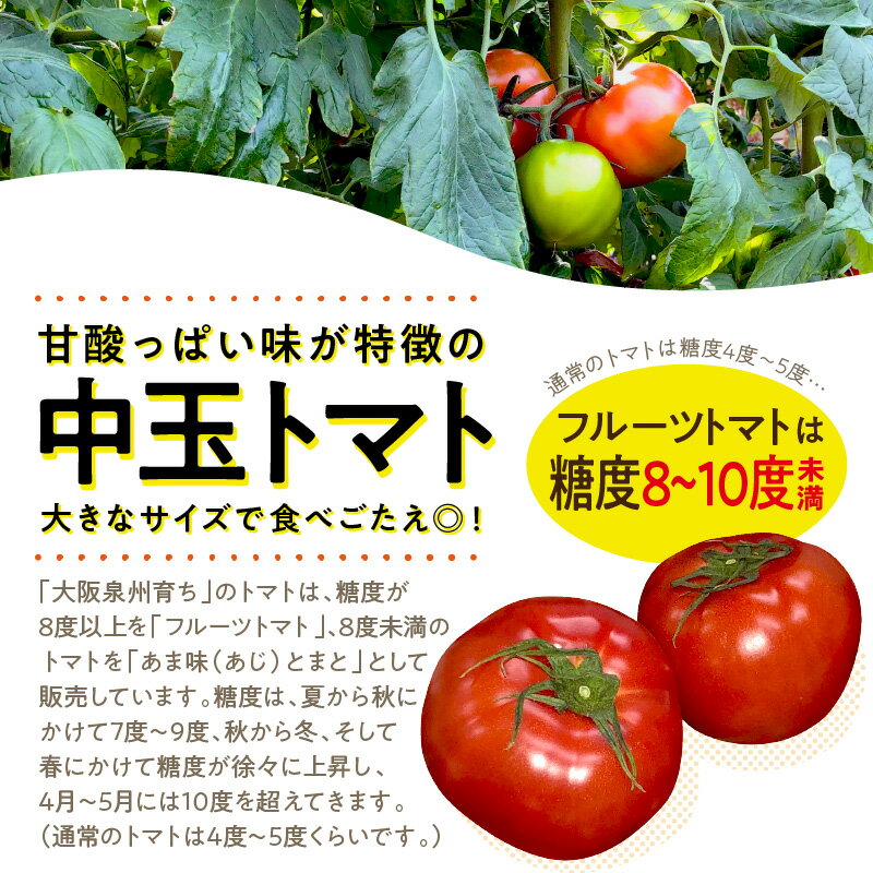 【ふるさと納税】大阪泉州育ち フルーツトマト 2kg 高糖度 糖度8度以上 2キロ とまと トマト 国産 フルーツ