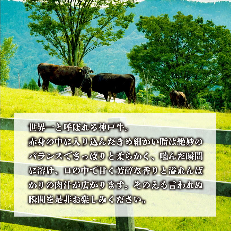 【ふるさと納税】神戸牛サーロインステーキ（200g×1枚） 《自社牧場直送　神戸牛　肉のヒライ サーロインステーキ 赤身 サーロイン ステーキ 牛肉 200g》