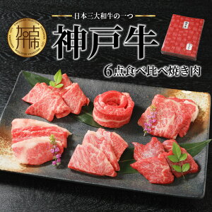 【ふるさと納税】自社牧場直送神戸牛6点食べ比べ焼肉（600g） 《 国産 自社牧場直送 神戸牛 肉のヒライ 焼肉 食べ比べ 牛肉 霜降り ロース 赤身 ハラミ 三角バラ カルビ お楽しみ セット 詰め合わせ 》