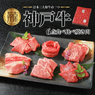 【ふるさと納税】自社牧場直送神戸牛6点食べ比べ焼肉（600g） 《自社牧場直送　神戸牛　肉のヒライ 焼肉 食べ比べ 牛肉 霜降り》