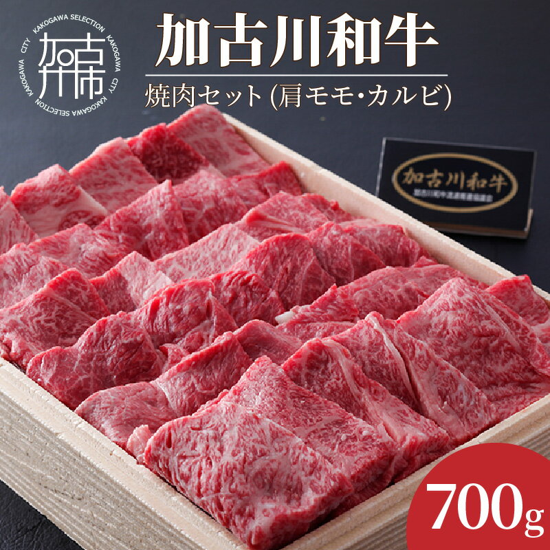 加古川和牛焼肉セット(700g) 肩モモ・カルビ[ 国産 和牛 牛肉 牛 国産牛 肩モモ カルビ 肉 焼肉 おいしい お取り寄せ グルメ ギフト 送料無料 ]