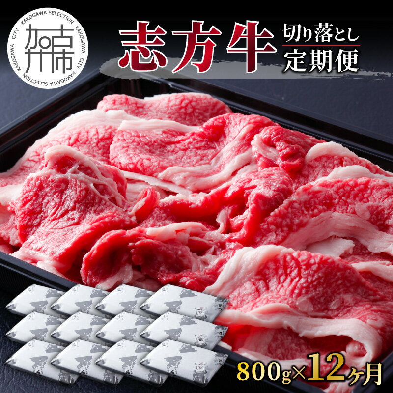 志方牛切り落とし定期便(800g×12ヶ月)《 定期便 肉 国産 牛肉 牛 国産牛 切り落とし 小間切れ お手軽 おいしい お取り寄せ 志方牛 送料無料 》