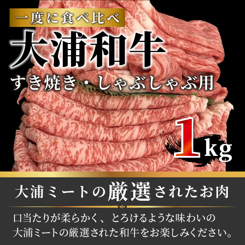 【ふるさと納税】★選べる配送月★大浦和牛すきやき・しゃぶセット（1kg）〈 牛肉 牛 和牛 国産 すき焼き しゃぶしゃぶ セット おすすめ ロース 赤身 美味しい 食べ比べ 選べる 選べる配送月 選べる発送月 〉