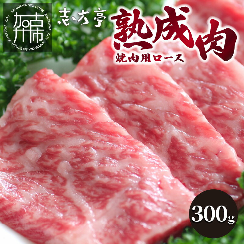 「熟成肉」焼肉(300g)〈焼肉 熟成肉 ロース 牛肉 ロース 300g 牛 国産 和牛 おすすめ こだわり セット バーベキュー ブレンド塩 旨味 加古川市 〉