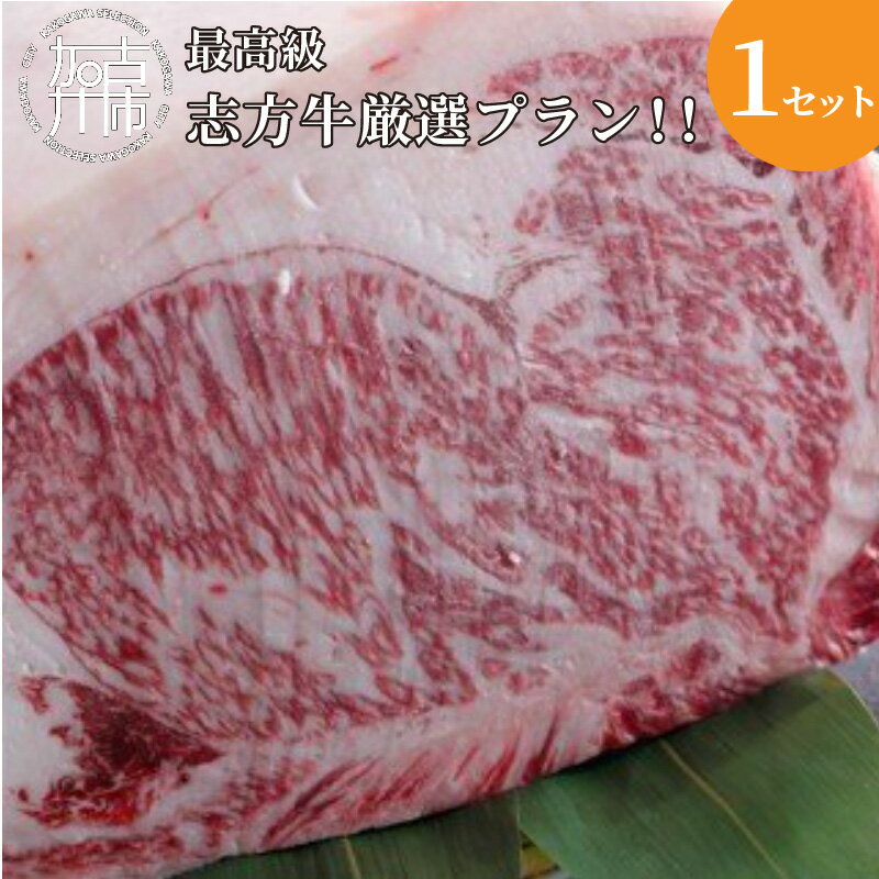 ★☆贅沢なお肉を心ゆくまで☆★最高級志方牛厳選プラン！！ 《牛肉 志方牛 志方亭 焼肉 バーベキュー BBQ 和牛 》