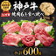 ֡ڤդ뤵Ǽǡۿ͵   6 600g34˥   ֿ Ƥ  BBQ ȥɥ С٥塼 âϵ ֥ɵ µ   ͥӡա1211ʹߤʬϡǯ1ʹߤν缡ϤȤʤޤפ򸫤