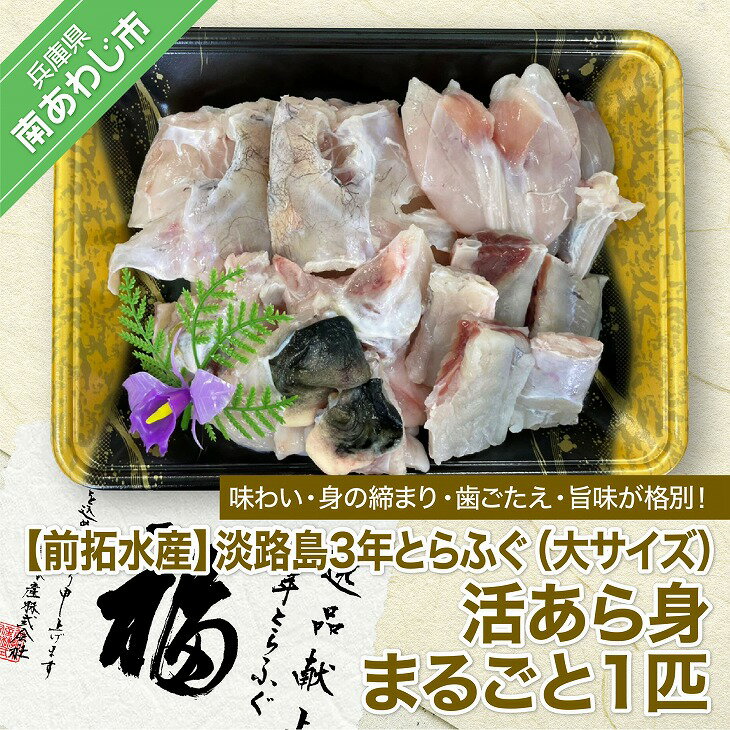【冷蔵】淡路島3年とらふぐ(大サイズ)活あら身まるごと1匹◆配送10月25日~3月31日