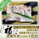 【ふるさと納税】【冷蔵】淡路島3年とらふぐ活身欠き【ミガキ・1匹分】◆配送10月25日~3月31日