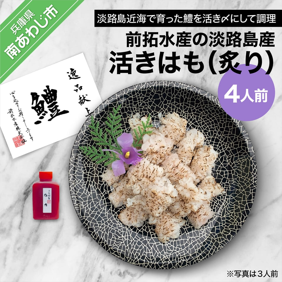 【ふるさと納税】前拓水産の淡路島産活きはも（炙り）4人前【配送6月1日～8月31日】