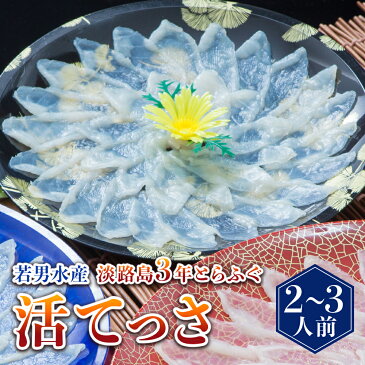 【ふるさと納税】【若男水産】淡路島3年とらふぐ活てっさ（2〜3人前）◆配送10月1日～4月15日ぐ
