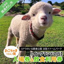 【ふるさと納税】コアラのいる農業公園 淡路ファームパーク イングランドの丘 入場券＆飲食利用券（小人用）